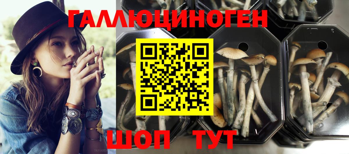 Псилоцибиновые грибы мухоморы Кузнецк